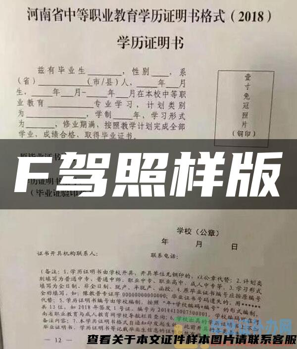 F驾照样版