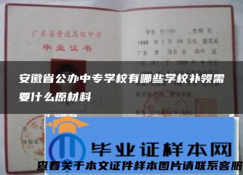 安徽省公办中专学校有哪些学校补领需要什么原材料