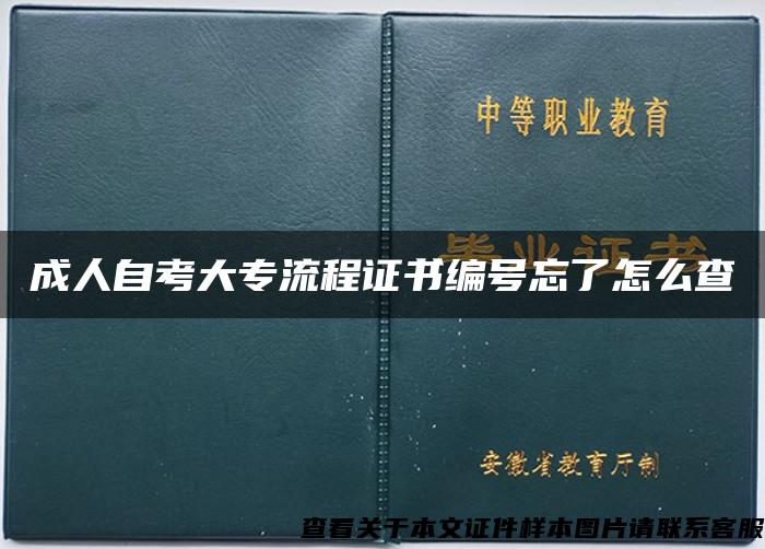 成人自考大专流程证书编号忘了怎么查