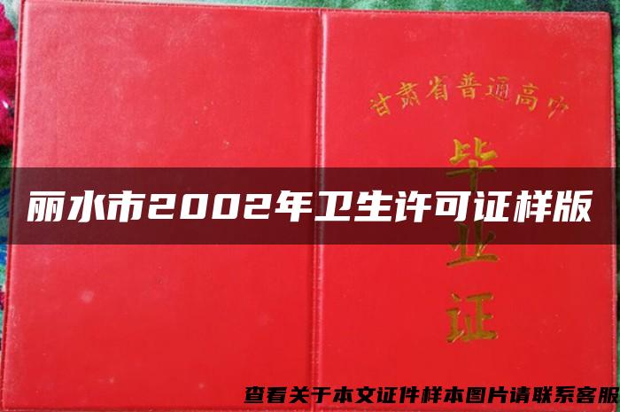 丽水市2002年卫生许可证样版