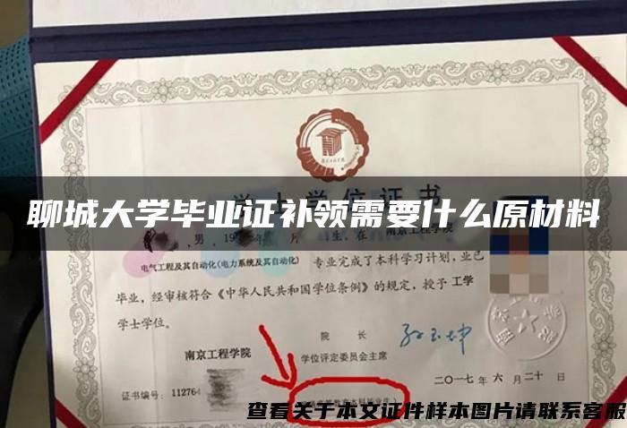 聊城大学毕业证补领需要什么原材料