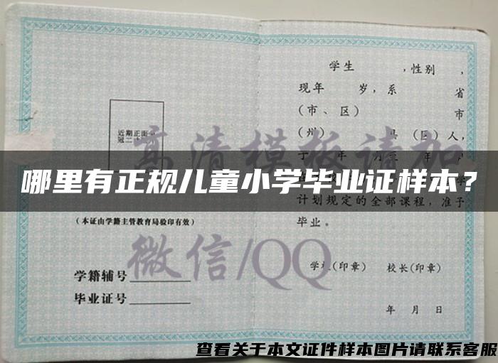 哪里有正规儿童小学毕业证样本？