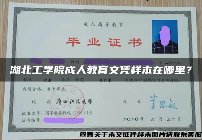 湖北工学院成人教育文凭样本在哪里？