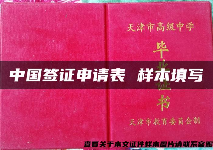 中国签证申请表 样本填写