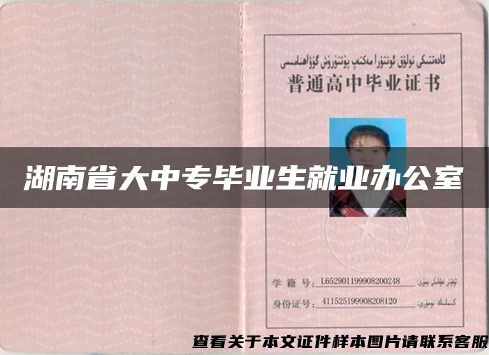 湖南省大中专毕业生就业办公室