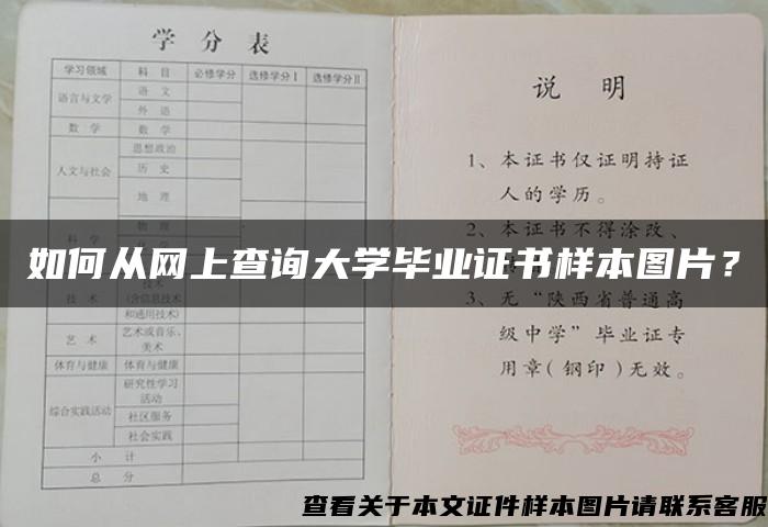 如何从网上查询大学毕业证书样本图片？