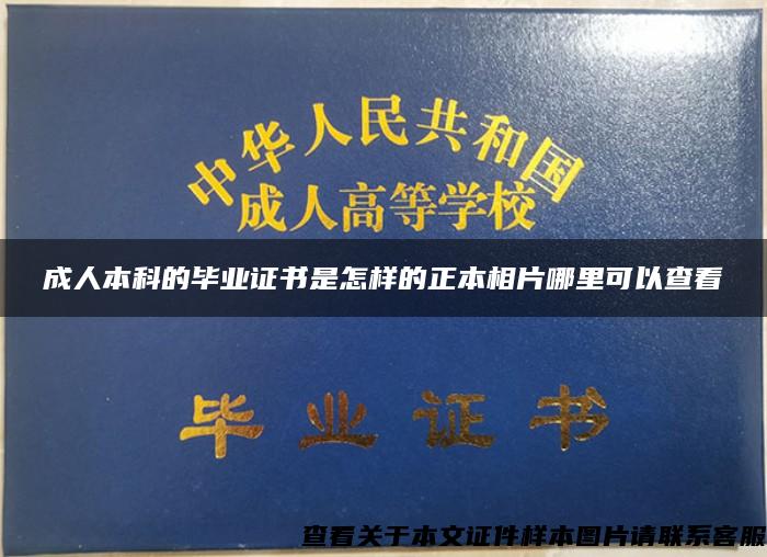 成人本科的毕业证书是怎样的正本相片哪里可以查看