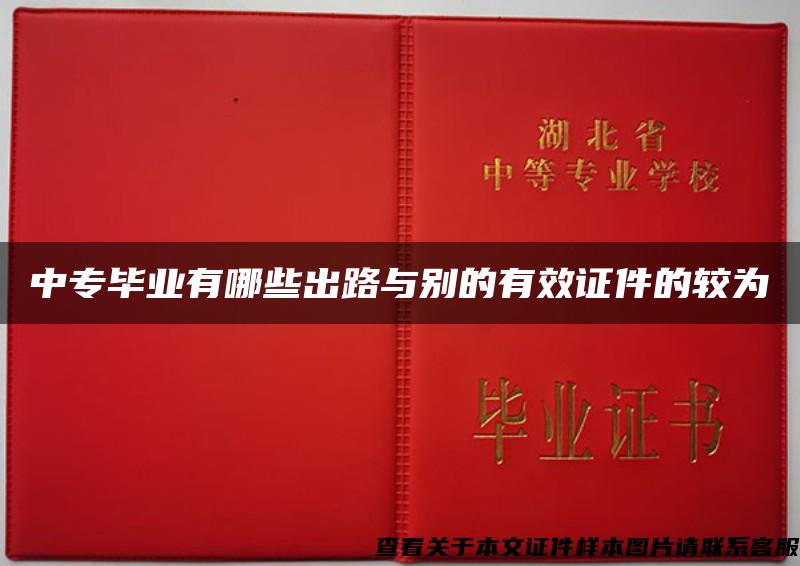 中专毕业有哪些出路与别的有效证件的较为