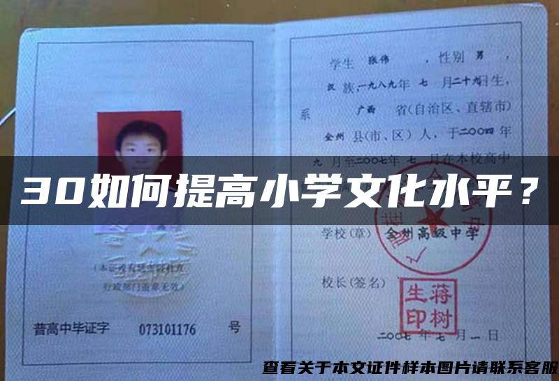 30如何提高小学文化水平？