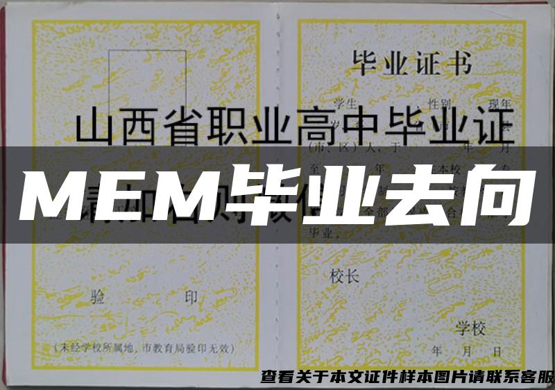 MEM毕业去向