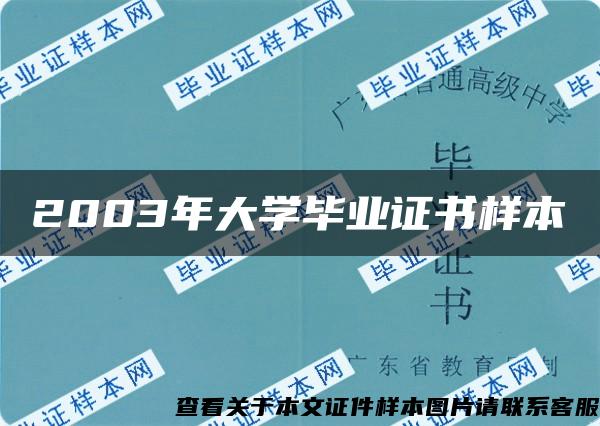 2003年大学毕业证书样本