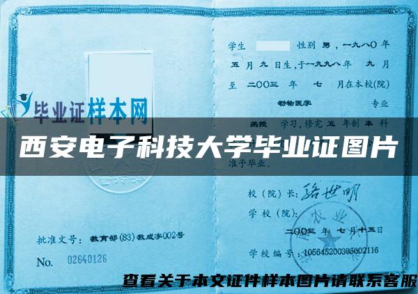 西安电子科技大学毕业证图片