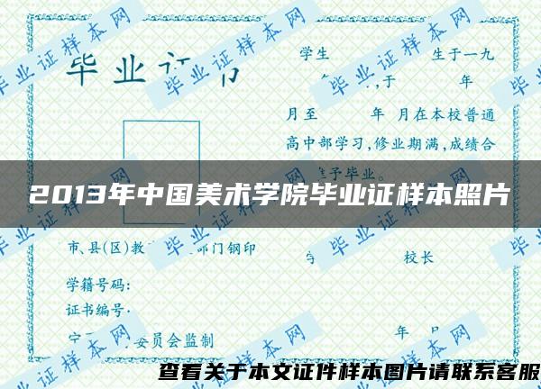 2013年中国美术学院毕业证样本照片