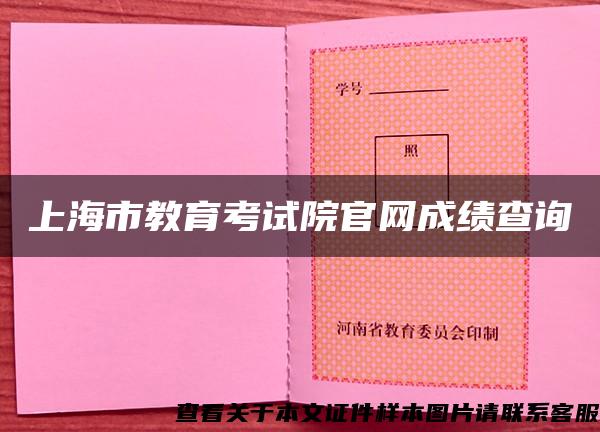 上海市教育考试院官网成绩查询