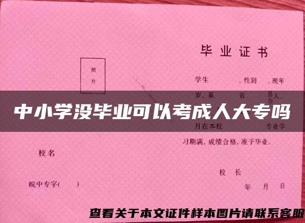 中小学没毕业可以考成人大专吗