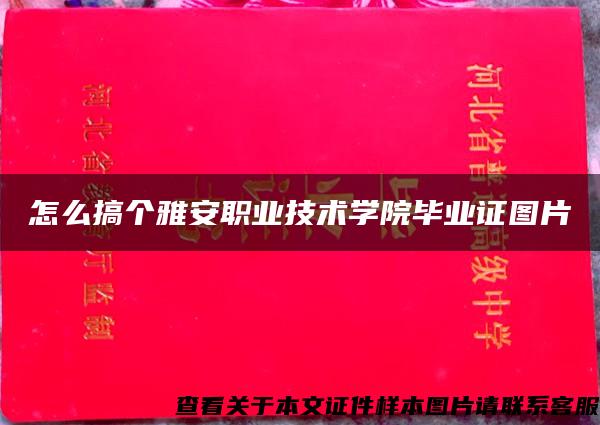 怎么搞个雅安职业技术学院毕业证图片