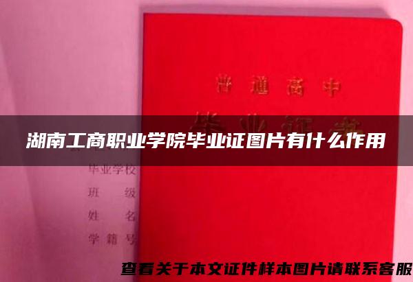 湖南工商职业学院毕业证图片有什么作用