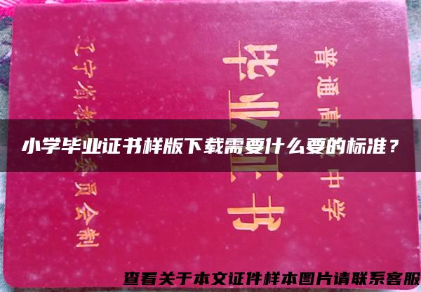 小学毕业证书样版下载需要什么要的标准？