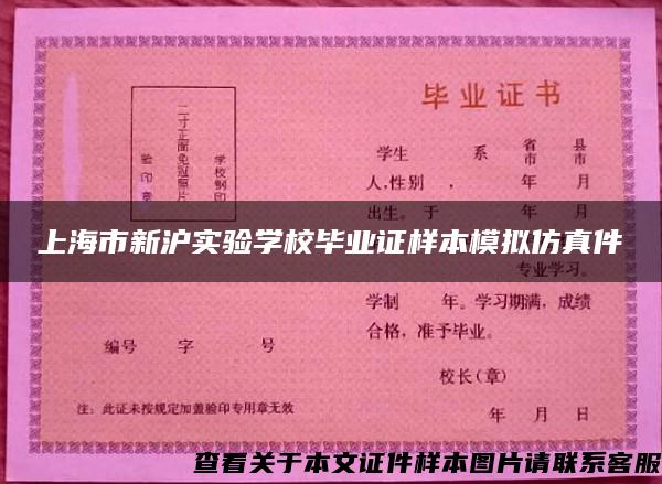 上海市新沪实验学校毕业证样本模拟仿真件