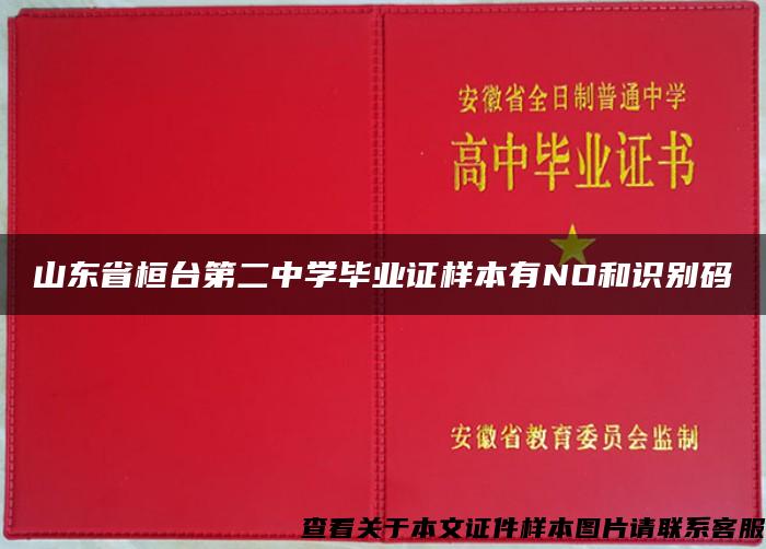 山东省桓台第二中学毕业证样本有NO和识别码