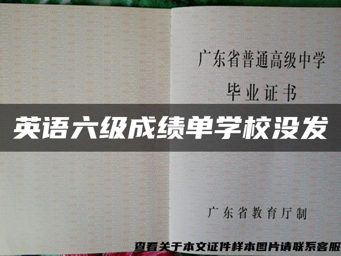 英语六级成绩单学校没发