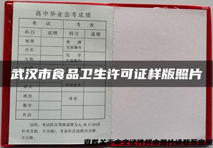 武汉市食品卫生许可证样版照片