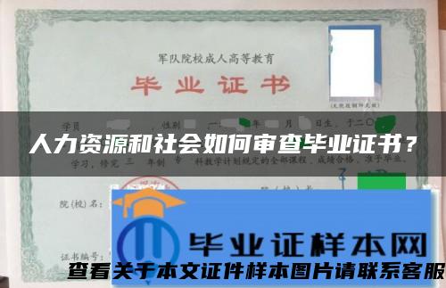 人力资源和社会如何审查毕业证书？