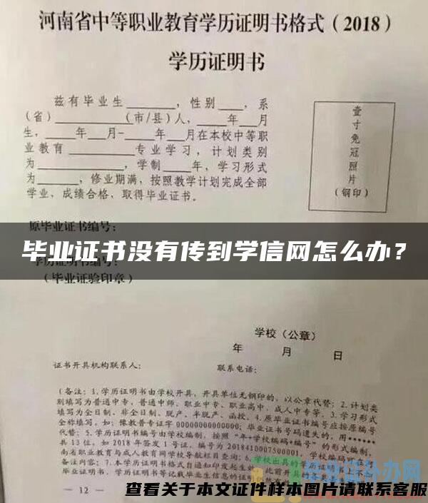 毕业证书没有传到学信网怎么办？