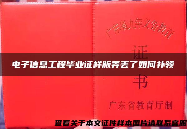 电子信息工程毕业证样版弄丢了如何补领