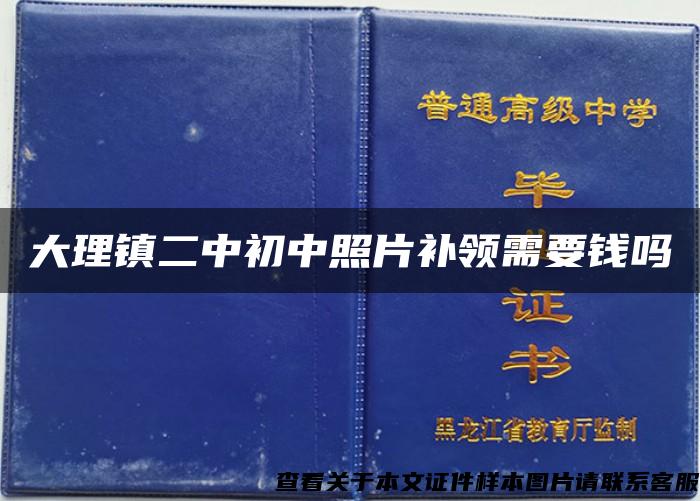 大理镇二中初中照片补领需要钱吗