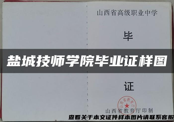 盐城技师学院毕业证样图