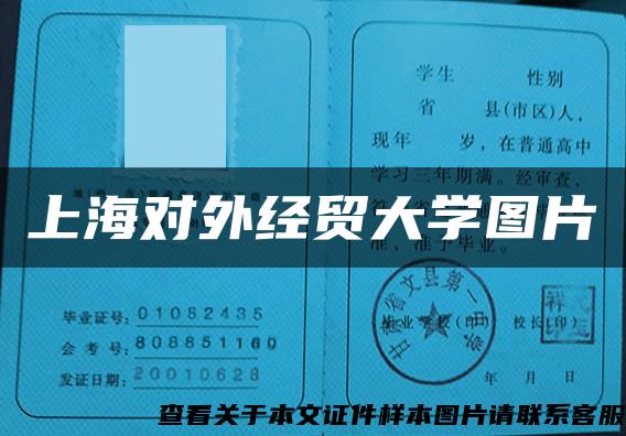 上海对外经贸大学图片