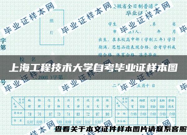 上海工程技术大学自考毕业证样本图