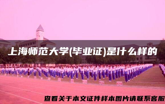 上海师范大学(毕业证)是什么样的