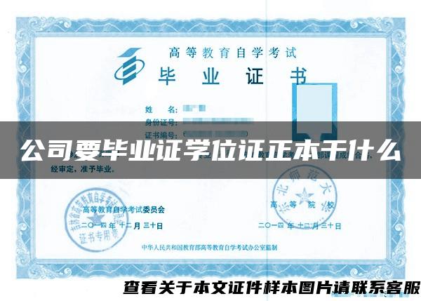 公司要毕业证学位证正本干什么