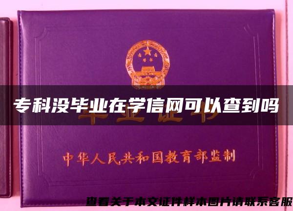 专科没毕业在学信网可以查到吗