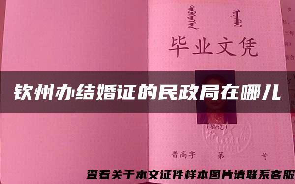 钦州办结婚证的民政局在哪儿