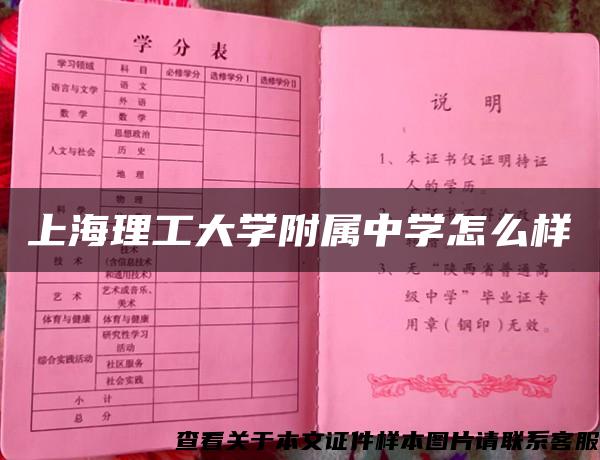 上海理工大学附属中学怎么样