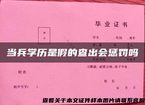 当兵学历是假的查出会惩罚吗