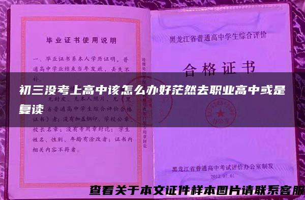 初三没考上高中该怎么办好茫然去职业高中或是复读