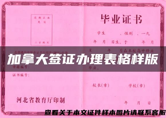 加拿大签证办理表格样版