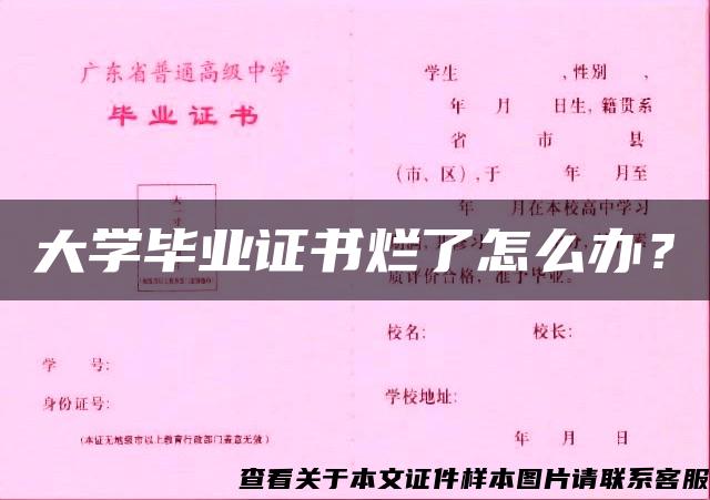 大学毕业证书烂了怎么办？