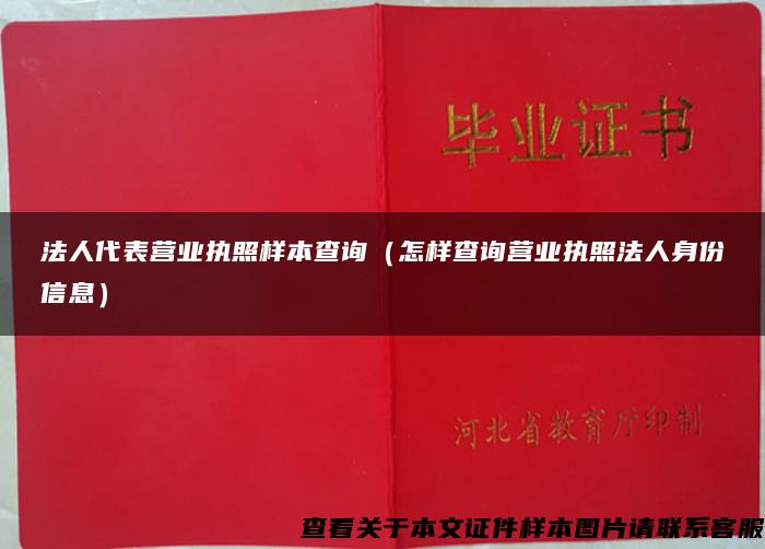 法人代表营业执照样本查询（怎样查询营业执照法人身份信息）