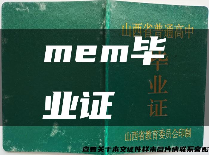 mem毕业证