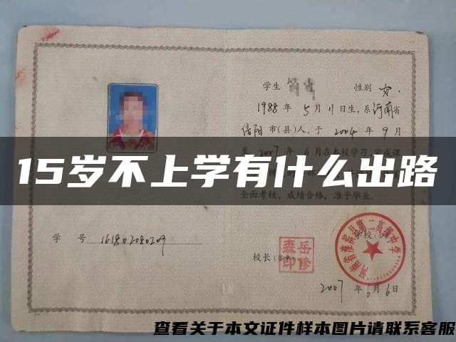 15岁不上学有什么出路