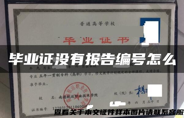 毕业证没有报告编号怎么