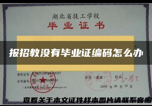 报招教没有毕业证编码怎么办