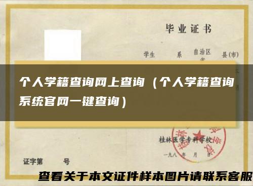 个人学籍查询网上查询（个人学籍查询系统官网一键查询）