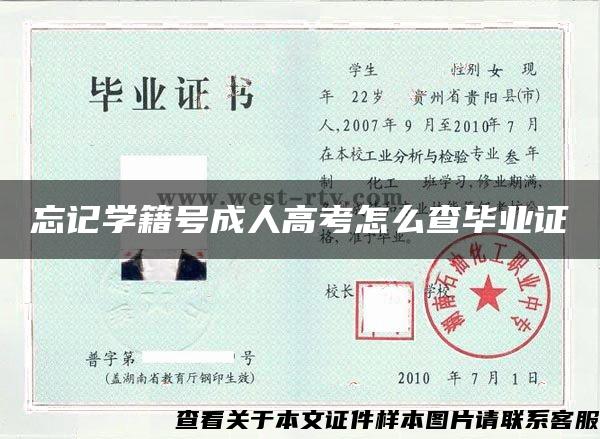 忘记学籍号成人高考怎么查毕业证