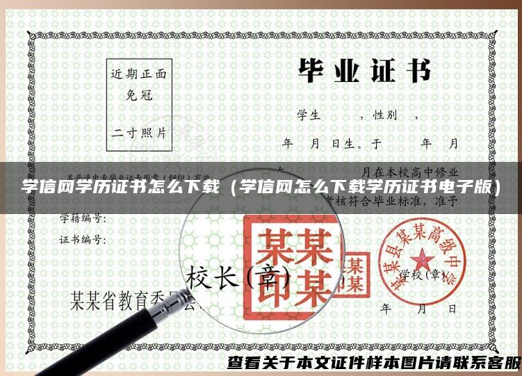 学信网学历证书怎么下载（学信网怎么下载学历证书电子版）